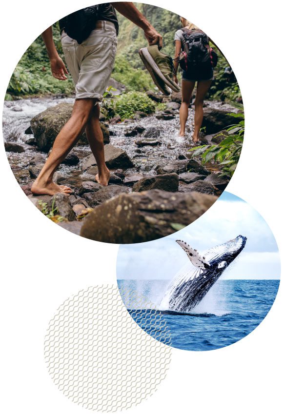 Image-2-lifestyle-page