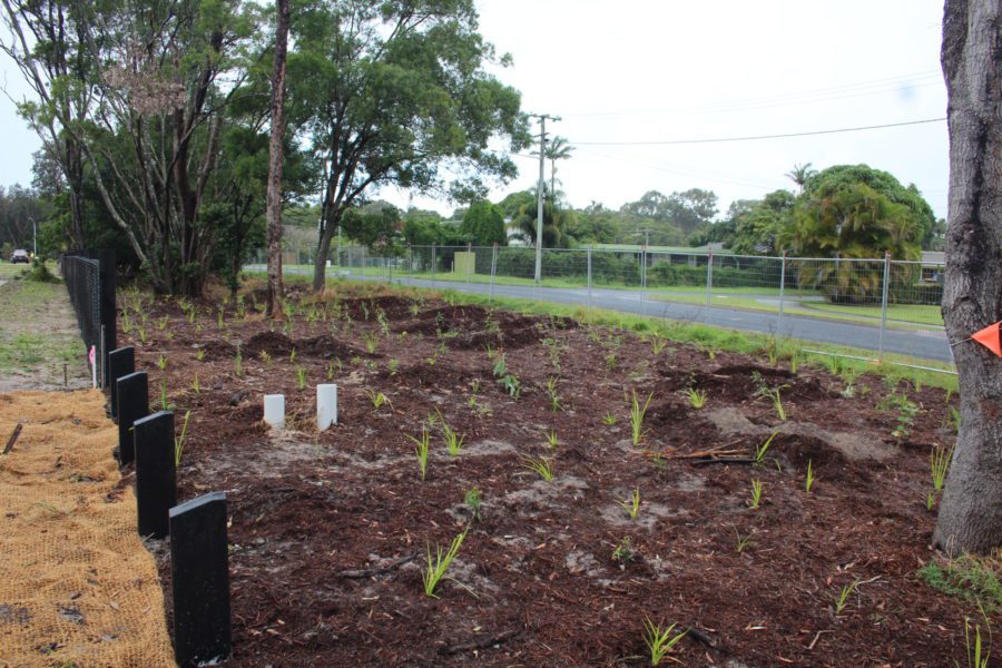 03/05/2022: Stage 1 Elizabeth Street road verge planting looking east along boundary bollard markers at Bella Way and fauna friendly post and rail fence boundary to adjoining Lot 23