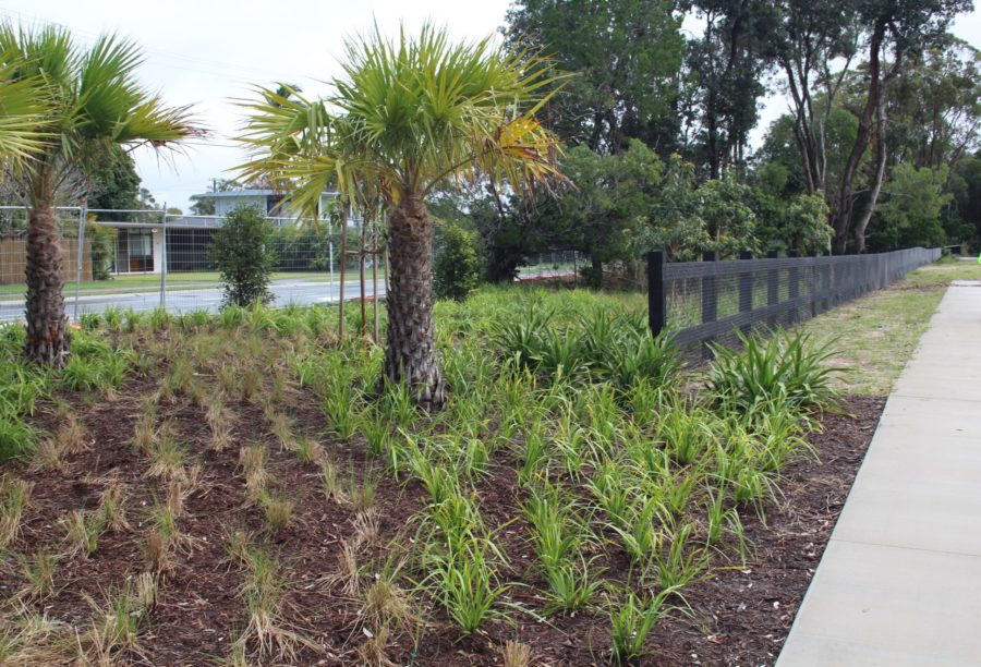 03/05/2022: Stage 1 Elizabeth Street road verge planting near intersection with Laurie Drive and Micalo Street looking west along fauna friendly post and rail fence boundary to adjoining Lot 10
